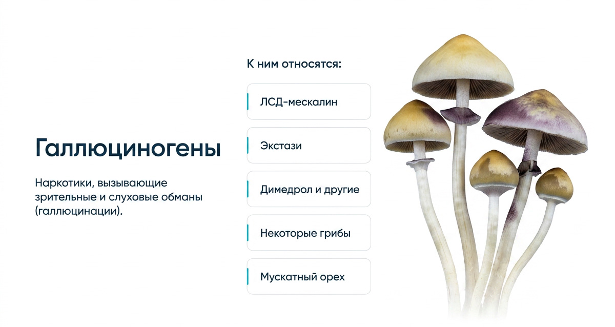 Виды и свойства галлюциногенов - лечение зависимости в Москве в клинике